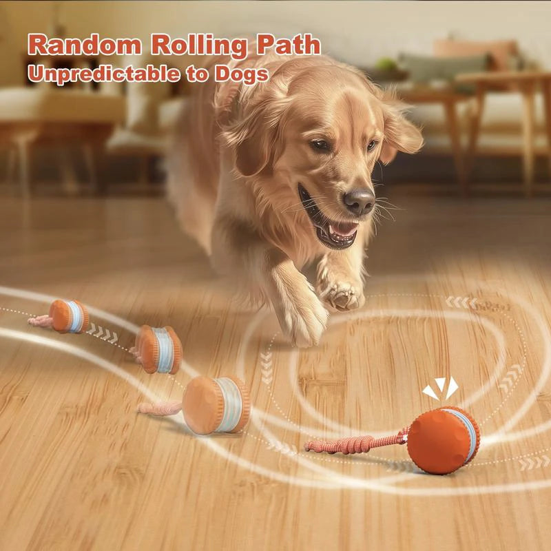 Lenovo Electric Rolling Ball Plastic Pet Toy, Rechargeable Cat and Dog Toy, Outdoor Pet Supplies with Leash Safe Materials
