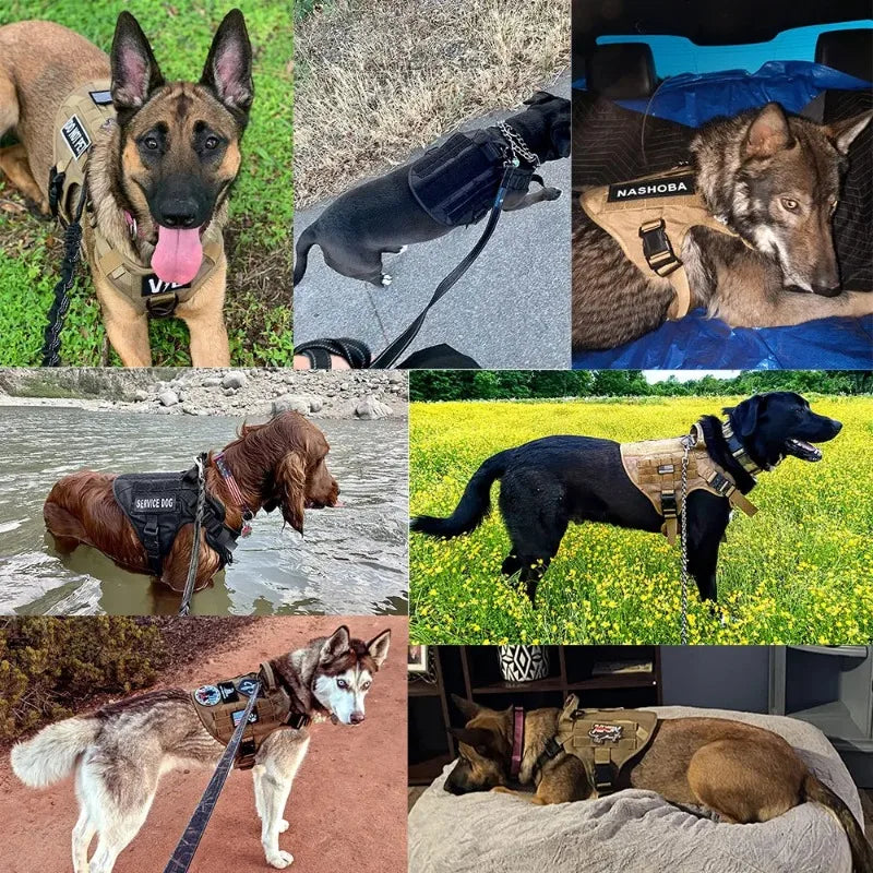 Large Dog Harness Pet German Shepherd Training Vest Tactical Medium Dog Harnesses Hunting For Dogs Accessories
