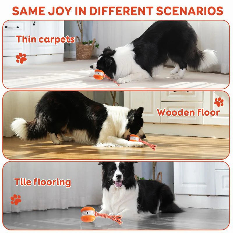 Lenovo Electric Rolling Ball Plastic Pet Toy, Rechargeable Cat and Dog Toy, Outdoor Pet Supplies with Leash Safe Materials