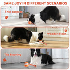 Lenovo Electric Rolling Ball Plastic Pet Toy, Rechargeable Cat and Dog Toy, Outdoor Pet Supplies with Leash Safe Materials