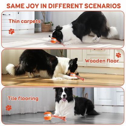 Lenovo Electric Rolling Ball Plastic Pet Toy, Rechargeable Cat and Dog Toy, Outdoor Pet Supplies with Leash Safe Materials